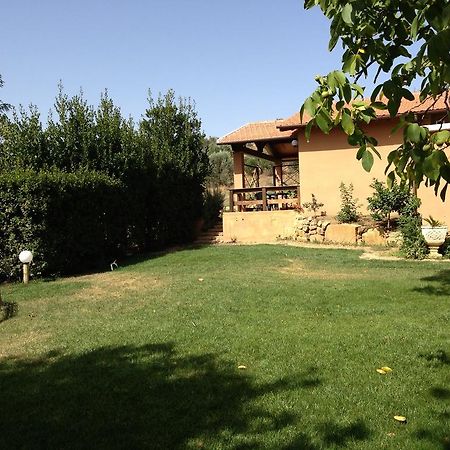Agriturismo San Mauro カパルビオ エクステリア 写真