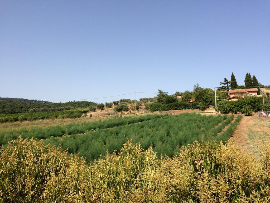 Agriturismo San Mauro カパルビオ エクステリア 写真