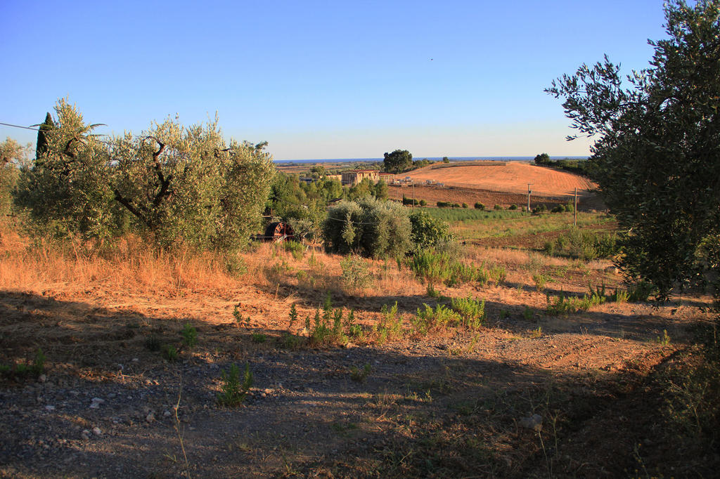 Agriturismo San Mauro カパルビオ エクステリア 写真